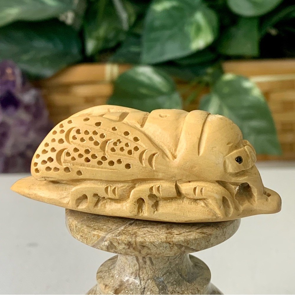 Vintage Netsuke Cicada Boxwood Carving Hand Carved Wood Insect Bug Figurine 2.7" - Picture 5 of 12